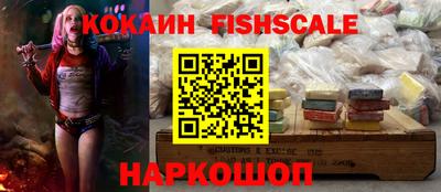 стаф Кингисепп