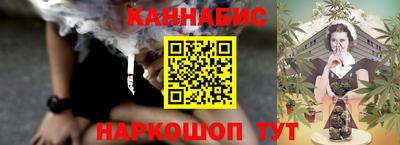 стаф Кингисепп